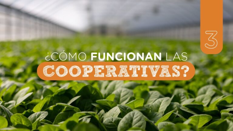 Aprende cómo funciona una cooperativa laboral en 5 simples pasos