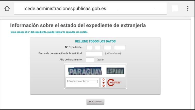 Descubre si tu NIE es válido: Consejos útiles en 5 minutos