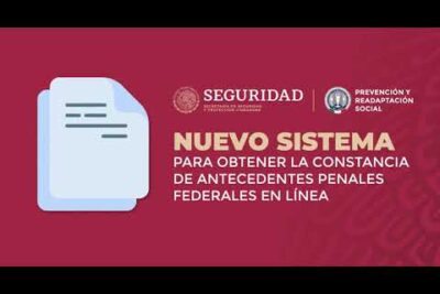 Descubre dónde obtener tus antecedentes penales de forma fácil y rápida