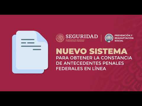 Descubre dónde obtener tus antecedentes penales de forma fácil y rápida