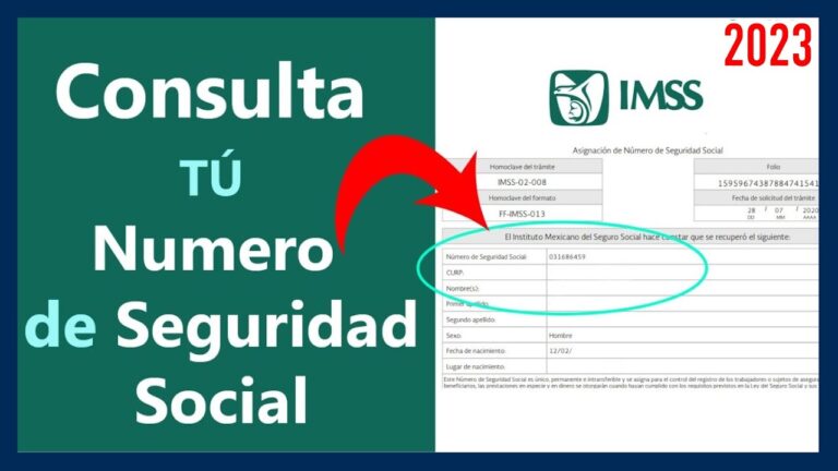¿Cómo obtener mi número de seguro social? Consejos prácticos en 5 minutos.