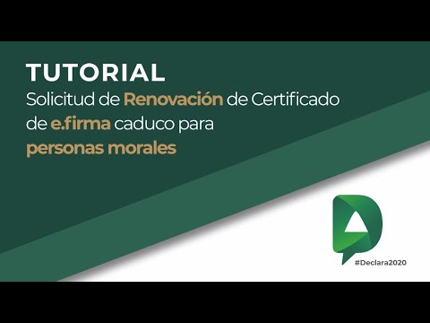 ¿Qué hacer si tu certificado de empresa tiene errores?