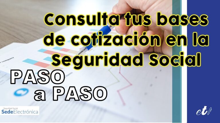 Optimiza tu futuro laboral: consulta tus bases de cotización online