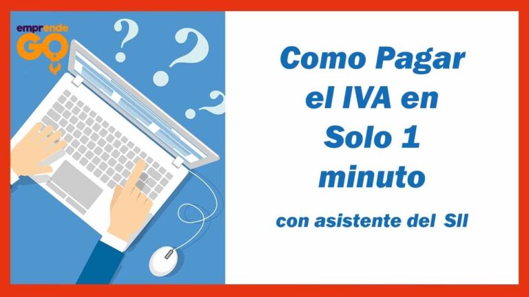 Aprende a pagar el IVA de forma rápida y segura por Internet
