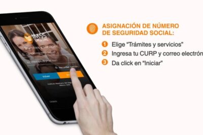 ¡No más confusiones! Aprende a asignar tu número de Seguridad Social en 5 pasos