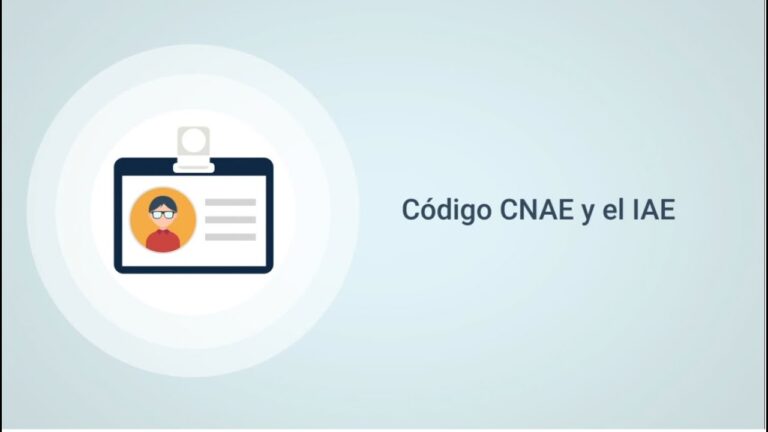 Código: la innovación que nace de una empresa exitosa