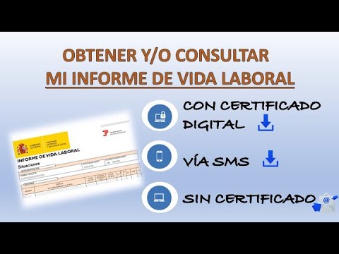 Solicita tu informe de vida laboral y toma el control de tu carrera