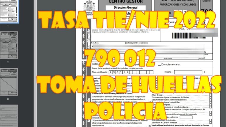 C mo Descargar Tasa 790 C digo 012 En Menos De 5 Minutos Actualizado c-mo-descargar-tasa-790-c-digo-012-en-menos-de-5-minutos-actualizado
