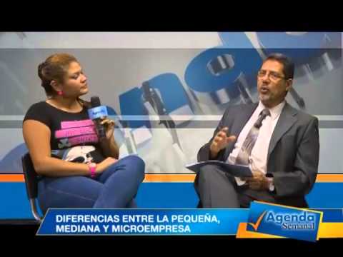 Descubre las diferencias clave entre microempresas y PYMES
