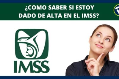 ¿Estás dada de alta? Aprende a comprobarlo en 3 pasos.