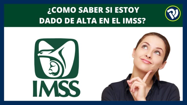 ¿Estás dada de alta? Aprende a comprobarlo en 3 pasos.
