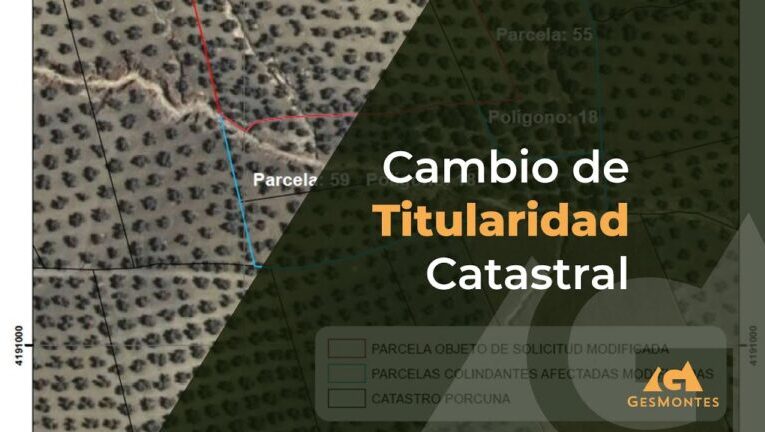 ¡Descubre cuánto tarda el Catastro en cambiar la titularidad y evita largas esperas!