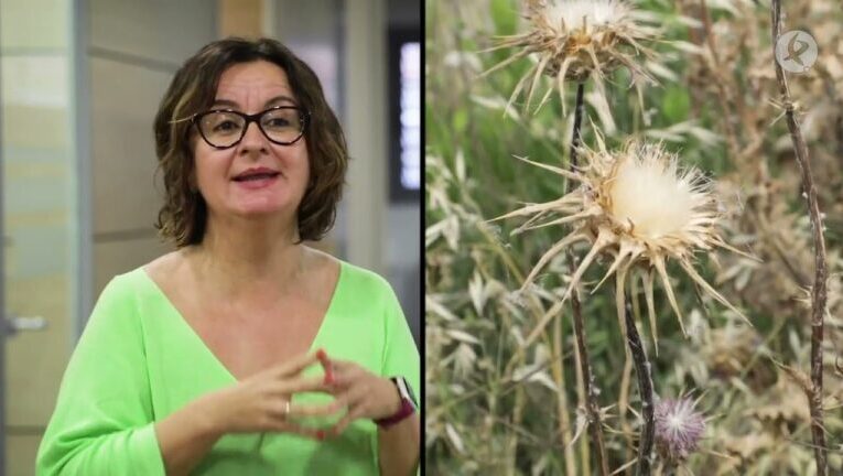 Extremadura trabajaç: líder en innovación laboral