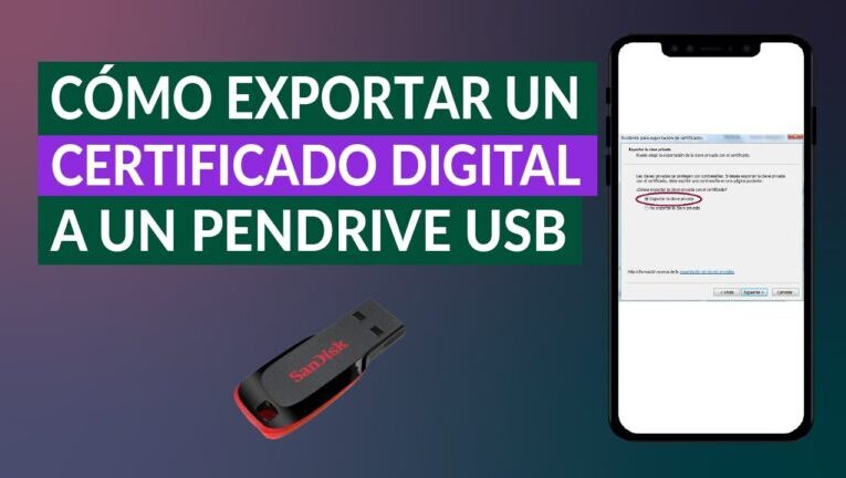 ¡Simplifica tus trámites! Aprende a pasar tu certificado digital a un pen