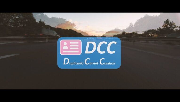 ¿Perdiste el carnet de conducir? Descubre qué hacer en esta situación
