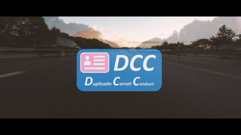 ¿Perdiste el carnet de conducir? Descubre qué hacer en esta situación