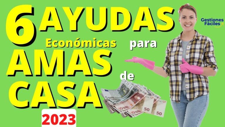 Los requisitos imprescindibles para recibir ayuda como ama de casa